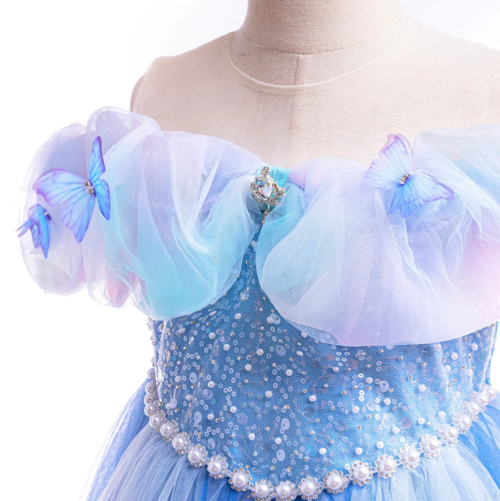 Cinderella Butterfly Tulle Princess Costume
