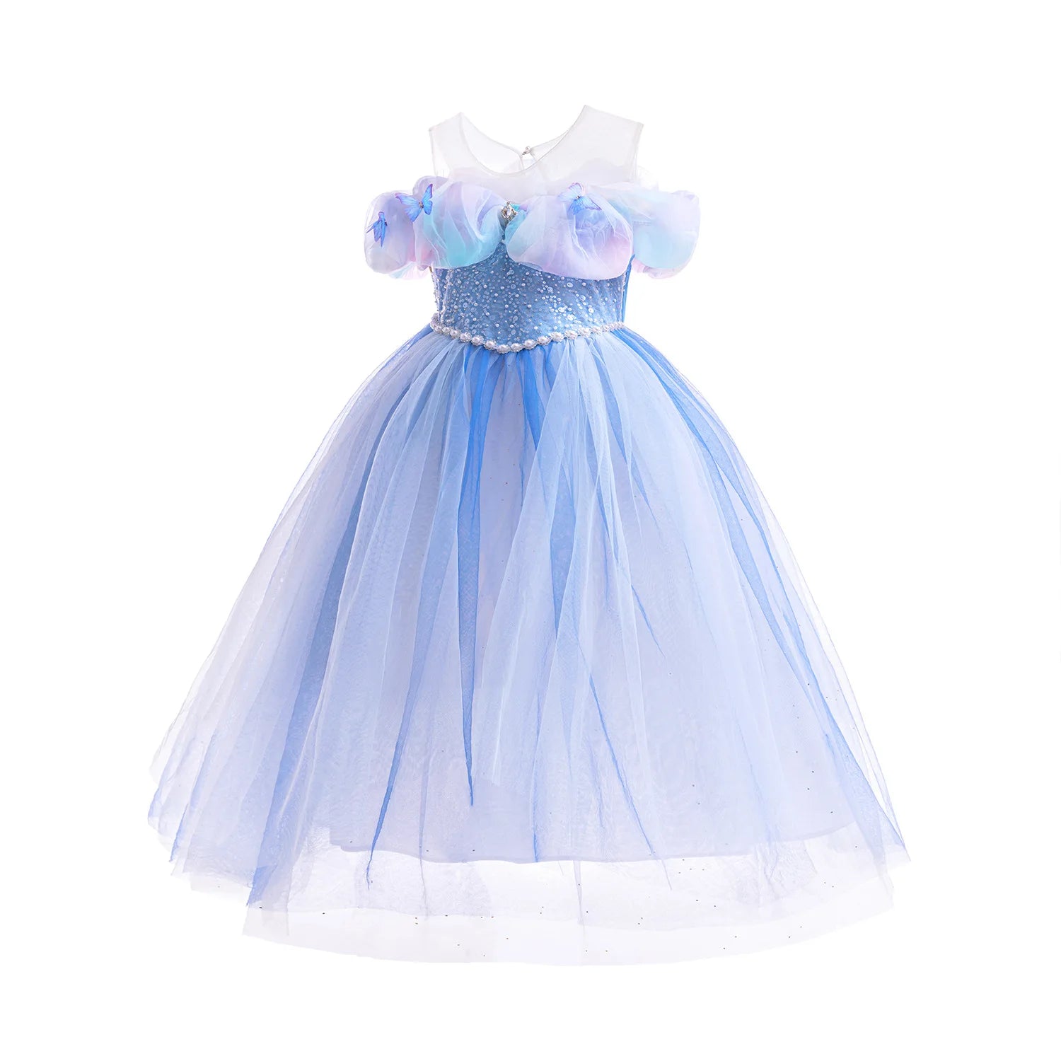 Cinderella Butterfly Tulle Princess Costume