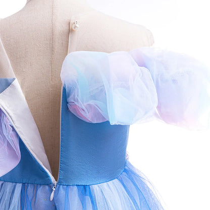 Cinderella Butterfly Tulle Princess Costume